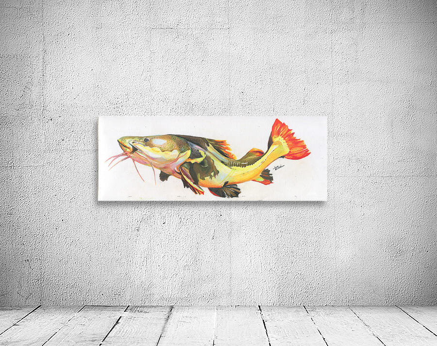 Red Tail Catfish II Wall Preview