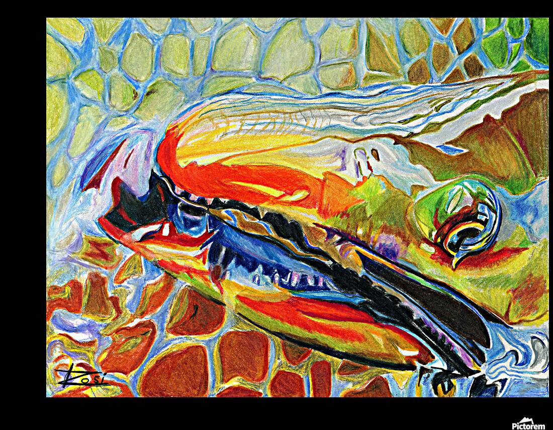 Dolly Varden II Reproduction