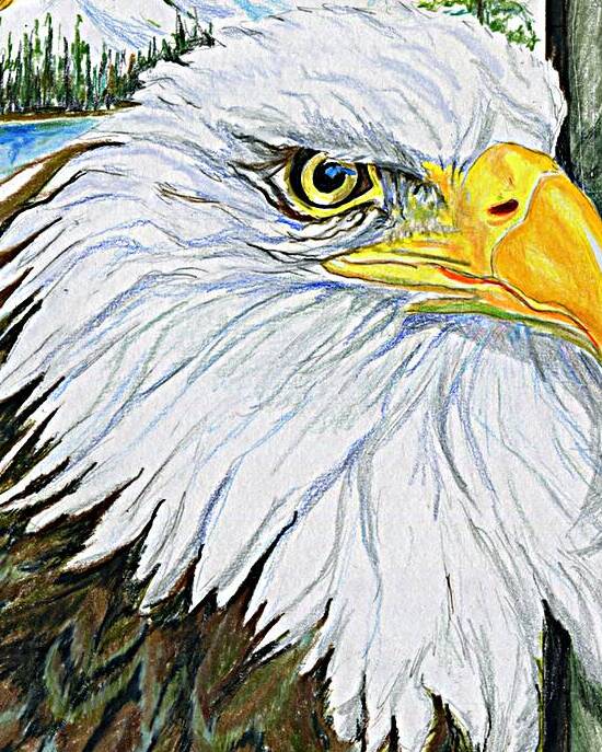 Ive Been Framed by Rosi Oldenburg